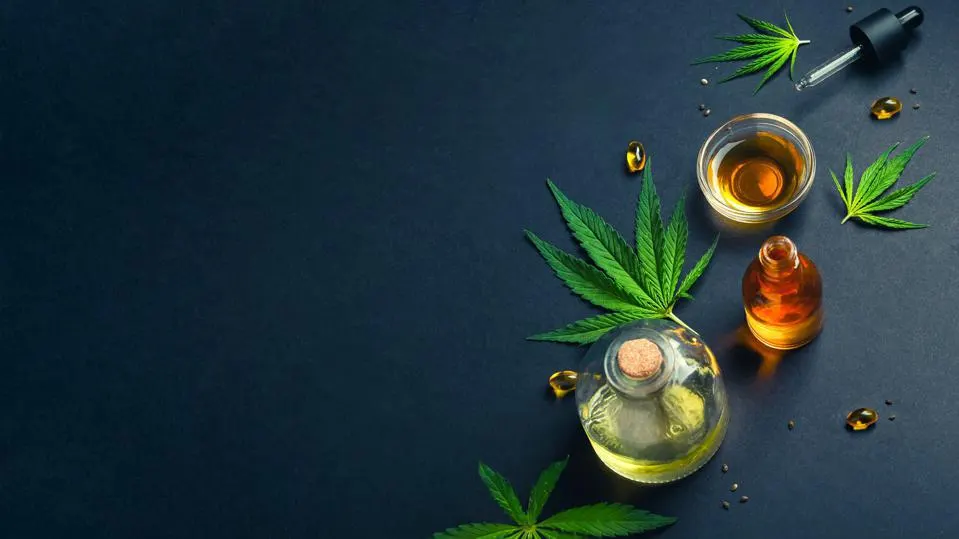 CBD Oil Tincture Canada